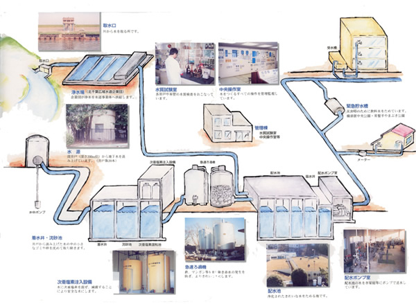 水道の水ができるまでの図