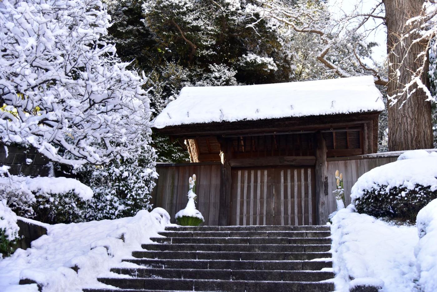 雪が積もった戸定邸の門の写真