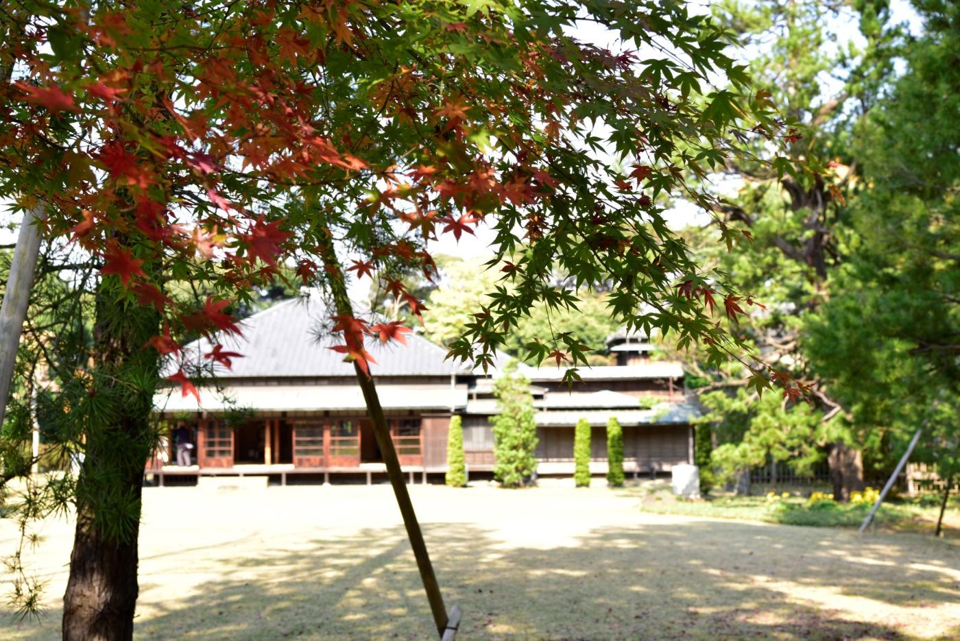 秋の戸定邸の写真